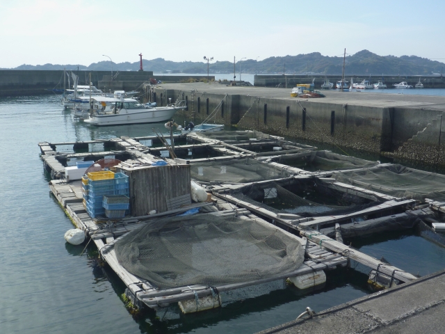 【 コロナの影響 】養殖された鯛が大量に余り廃棄危機の一方で保存食は需要増加