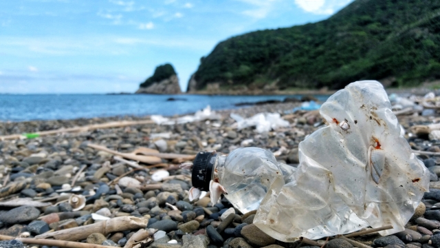 海のごみ