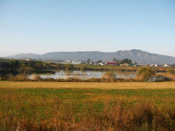 迫川 (はざかわ)