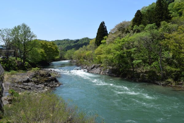 大鳥川