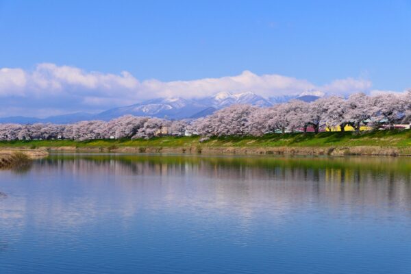 白石川(しろいしがわ)