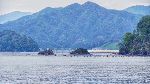 鵜住居川（うのずまいがわ）