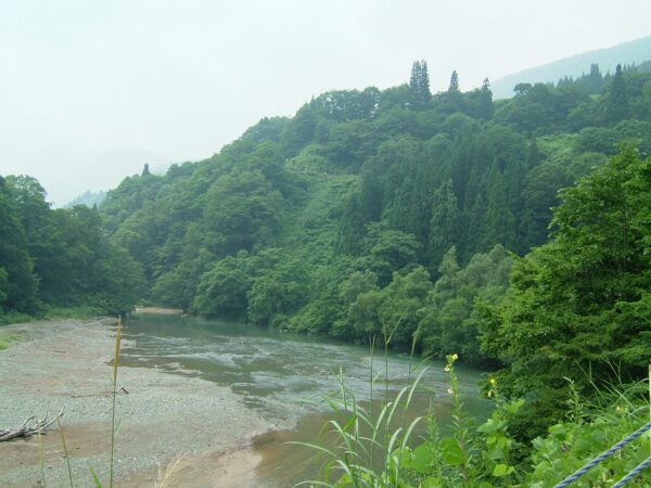 中津川(新潟県)