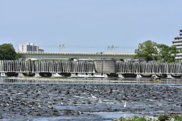 ダム、堰、水門…その違いとは何か？