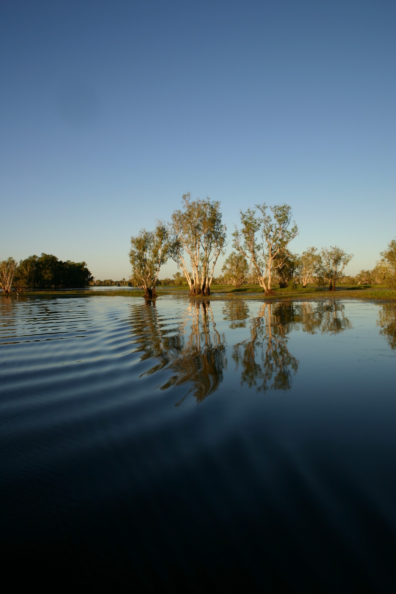 カカドゥ国立公園 資源ドットネット Shigen Net